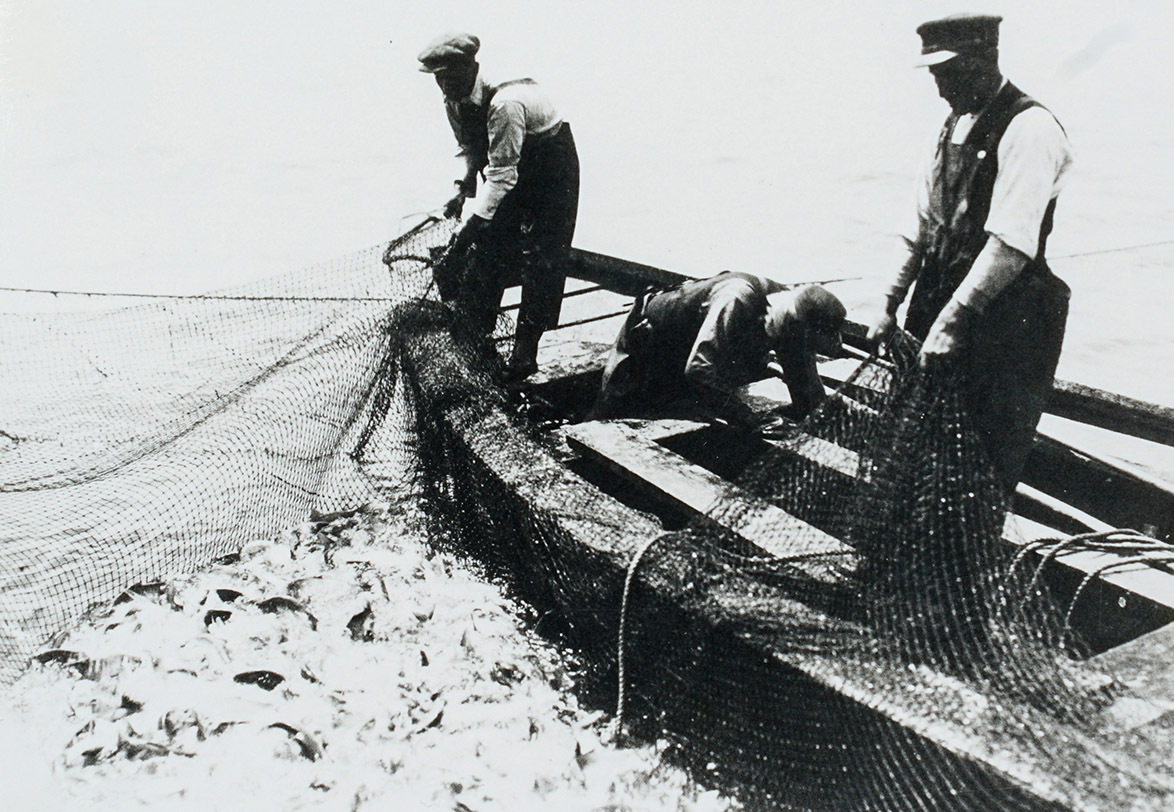 Joe Roque and others pound net fishing, c. 1945.